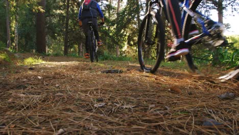 Mountain-biking-couple-riding-in-the-forest-on-a-sunny-day