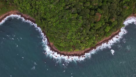 drone shot of forest seashore and ocean with waves