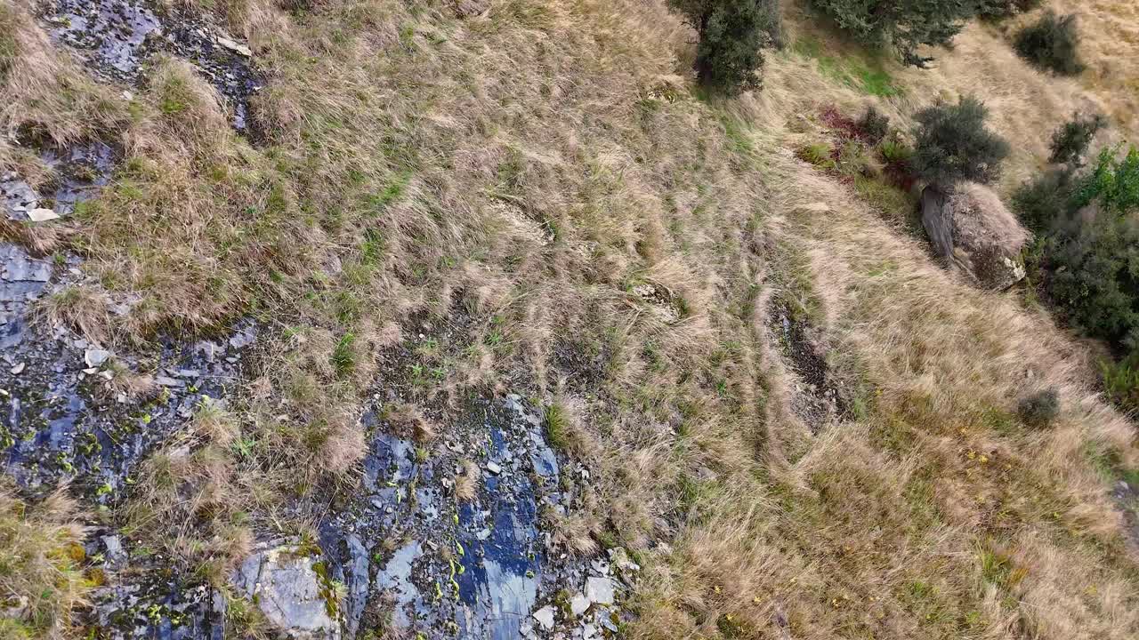 Drone camera smoothly descends over grassy hillside, rocks, and scattered shrubs in natural daylight