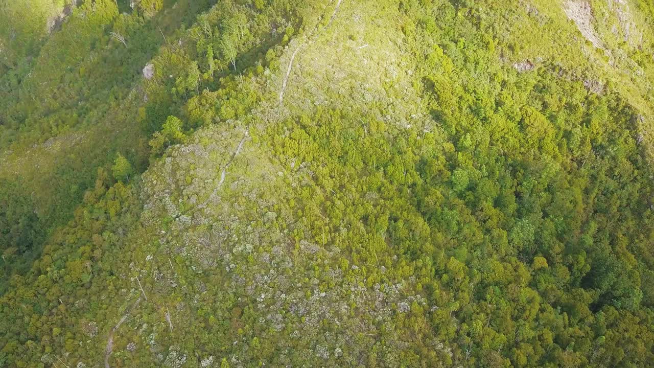 una vista de pájaro de la pista a lo largo de la cresta de la montaña que conduce a la cima del pináculo