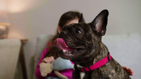 Niña-Jugando-Con-Perro