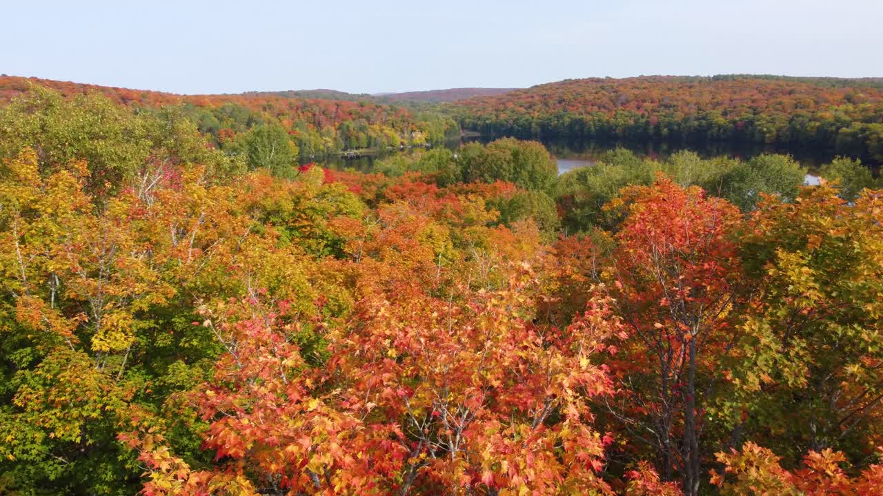 놀라운 가을 색 ⁇  의 다재다능 한 숲 자연 장면, 나무 꼭대기 를 지나가는 드론