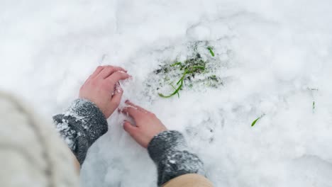 Una-Joven-Casada-Está-Cavando-En-La-Nieve-Con-Sus-Propias-Manos,-Descubriendo-Hierba-Verde-Debajo-De-Ella