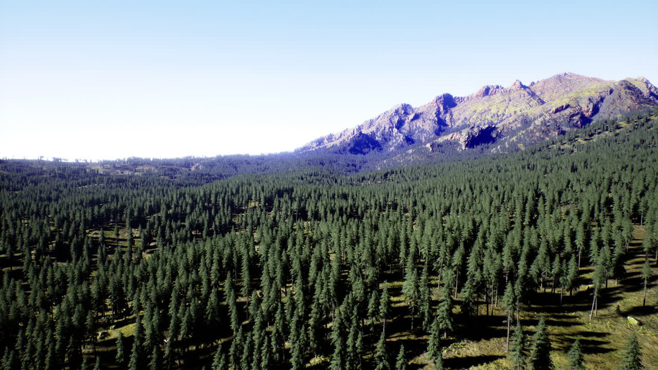 Vast green forest stretches beneath majestic mountain range at midday