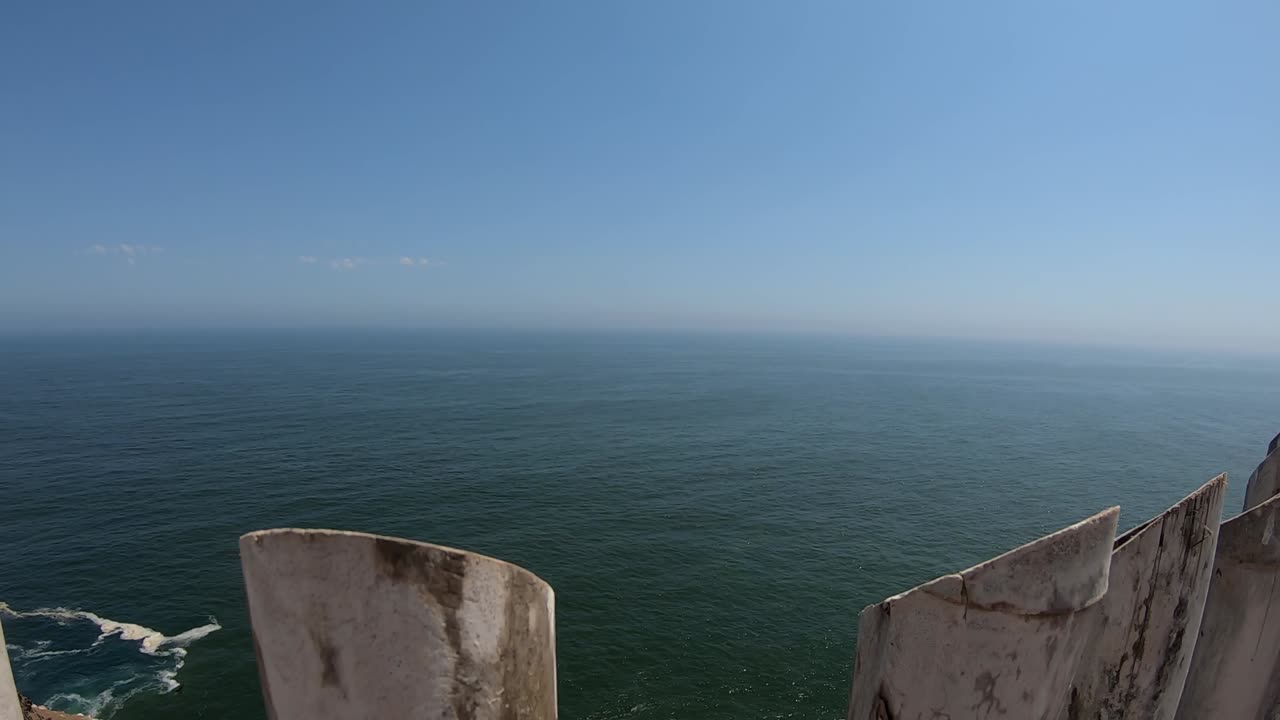 деревянный забор и полет чайки на вершине острова в тихом океане