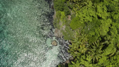 aerial - reflection on the water, playa rincon beach, dominican republic, top down