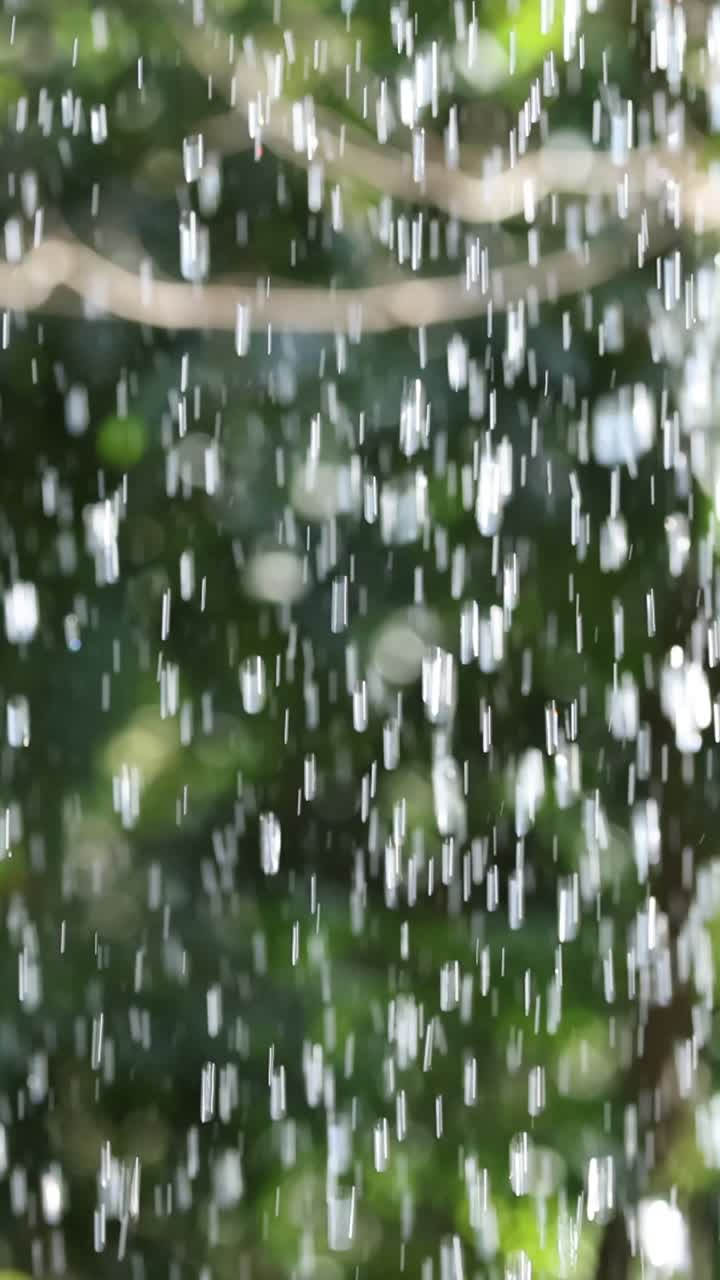 agua en cascada en medio de un follaje verde exuberante