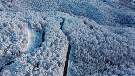 Impresionantes-Imágenes-De-Drones-De-Un-Paso-De-Montaña-En-Un-Bosque-Cubierto-De-Nieve