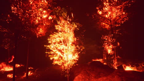 forest fire at night