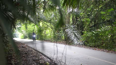 Young,-fit-and-cool-man-is-driving-on-the-countryside-roads-of-Bali-with-his-custom-motorcycle-with-beautiful-and-lush-jungle-and-nature-surrounding-him