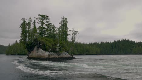 slow motion nakwakto rapids in slow motion in british columbia with camera moving with birds taking off from an island