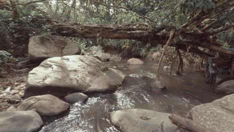 Agua-De-Río-Que-Fluye-Bajo-Un-árbol-Caído