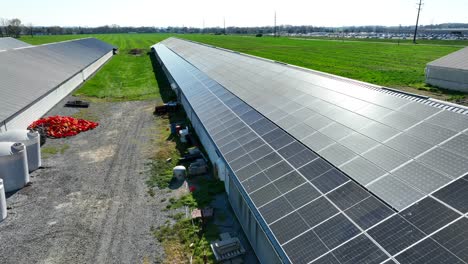 Sustainable-farm-barns-with-solar-panels-installed-on-roof,aerial-view