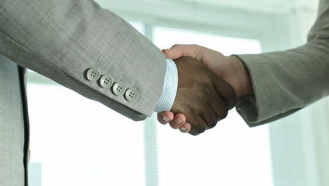 two positive businesspeople shaking hands indicating a concluded deal