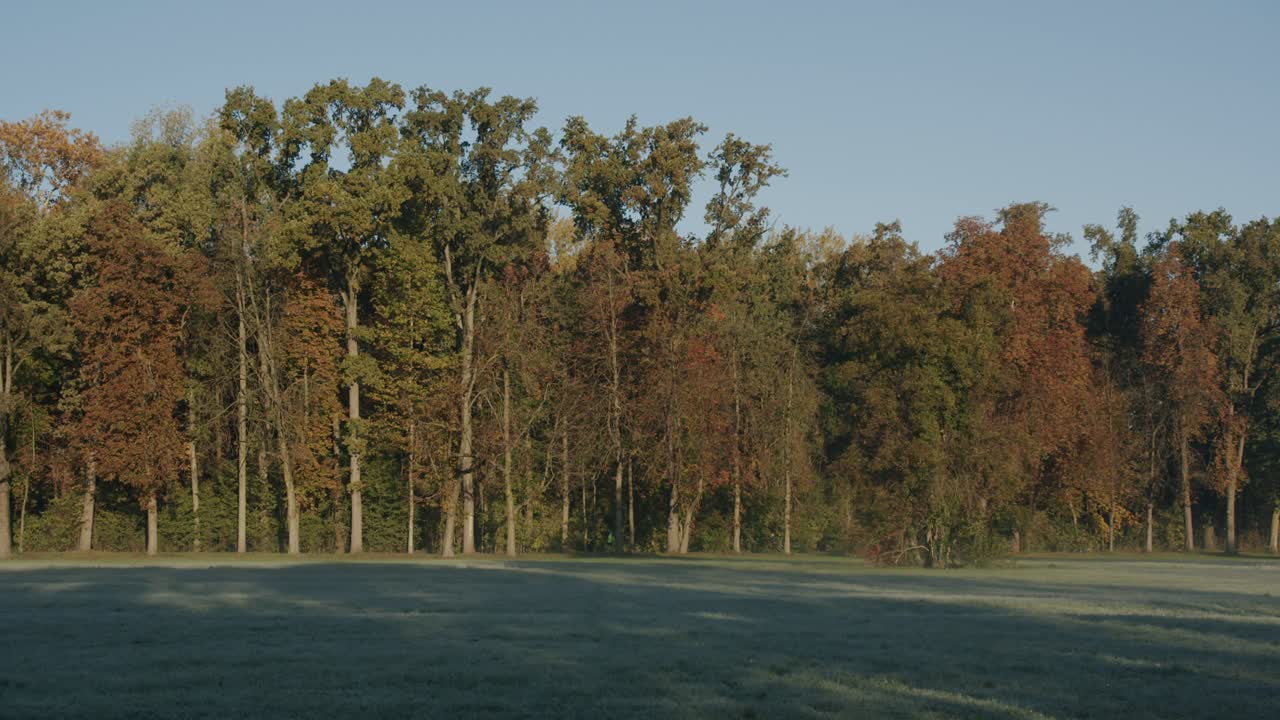Two people run in a park during an autumnal morning