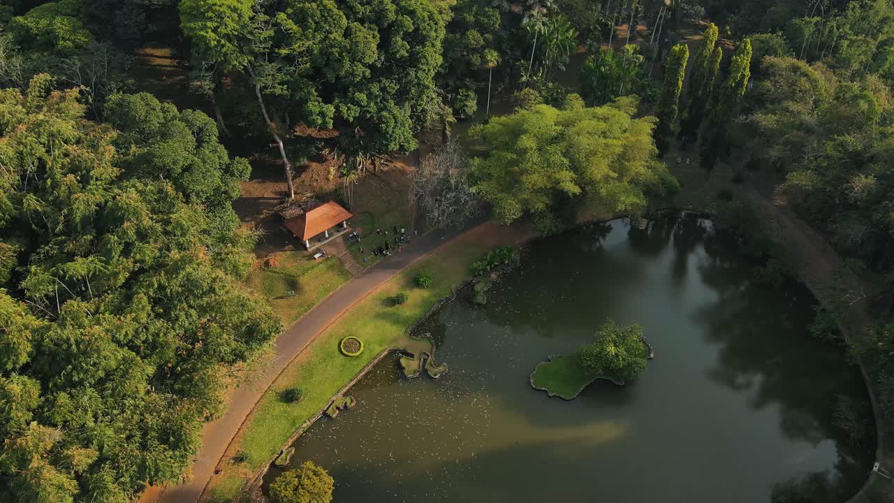 Aerial shot of Botanical Garden landscape in Peradeniya, Kandy, Sri-Lanka