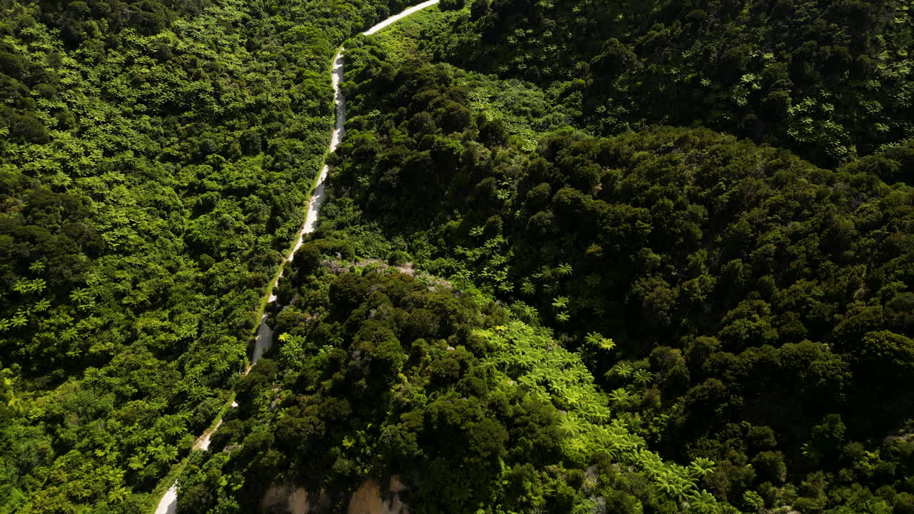 drone vuela por encima de la carretera estrecha en el parque nacional de abel tasman reserva silvestre en el extremo norte de nueva zelanda drone revelando impresionante paisaje marino del océano camino a través del parque nacional de abel tasman