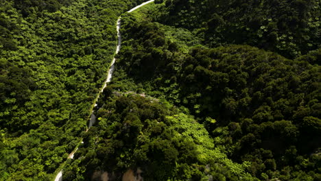 Drohnenflug-über-Einer-Verengten-Straße-Im-Wildnisreservat-Des-Abel-Tasman-Nationalparks-Am-Nördlichen-Ende-Neuseelands.-Drohne-Enthüllt-Atemberaubende-Meereslandschaft-Auf-Dem-Weg-Durch-Den-Abel-Tasman-Nationalpark