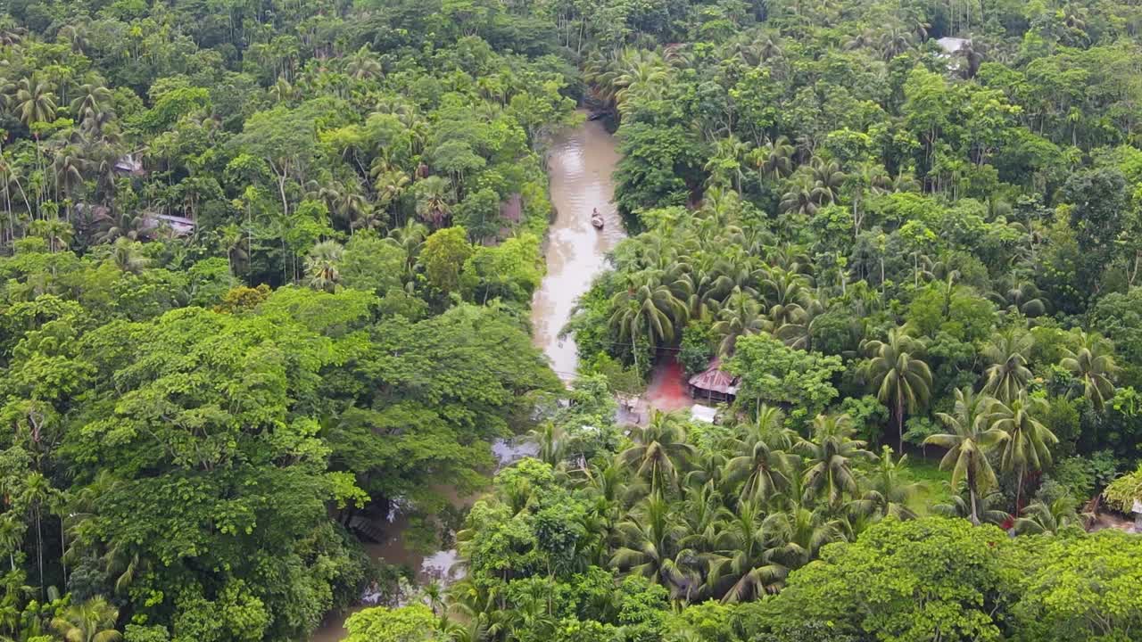 sobrevuelo de drones densa jungla cruzando río fangoso, selva amazónica, vegetación exuberante