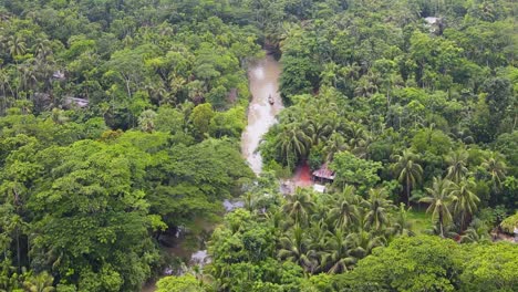 drone flyover dense jungle crossing by muddy river, amazonia forest, lush vegetation