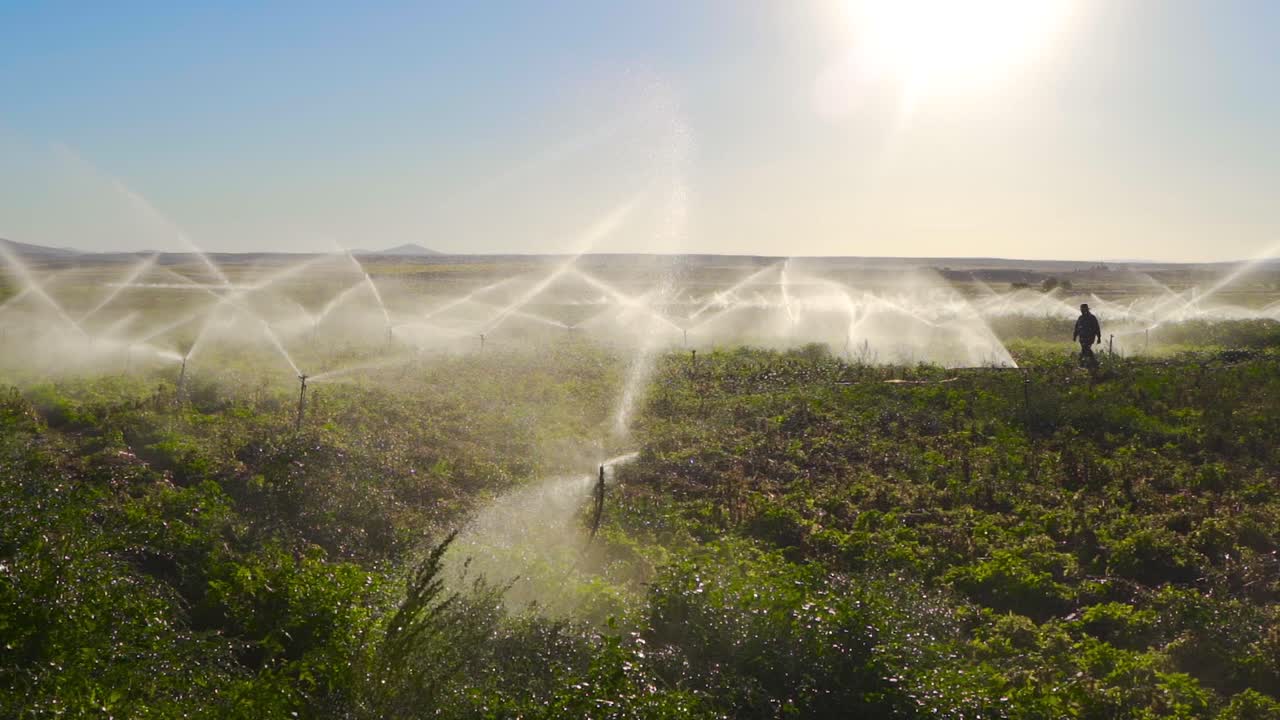 el rociador en cámara lenta.