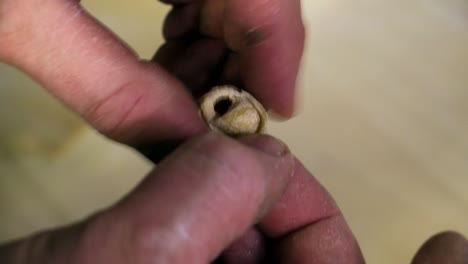 close up fingers folding tortellini