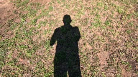 shadow waving on grassy ground in sunlight