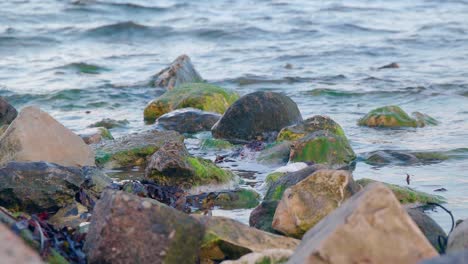 Stones-In-The-River,-Pure-Water-Stream