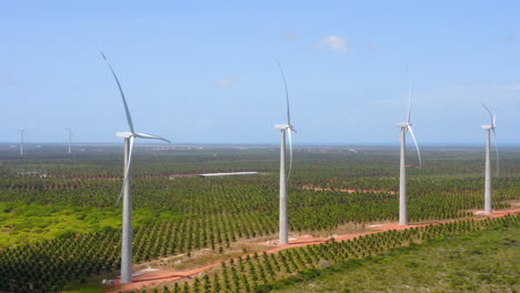 Vista-Aérea-Del-Ventilador-De-Viento-En-Medio-De-Una-Zona-Verde-De-Palmeras,-Ceará,-Brasil.