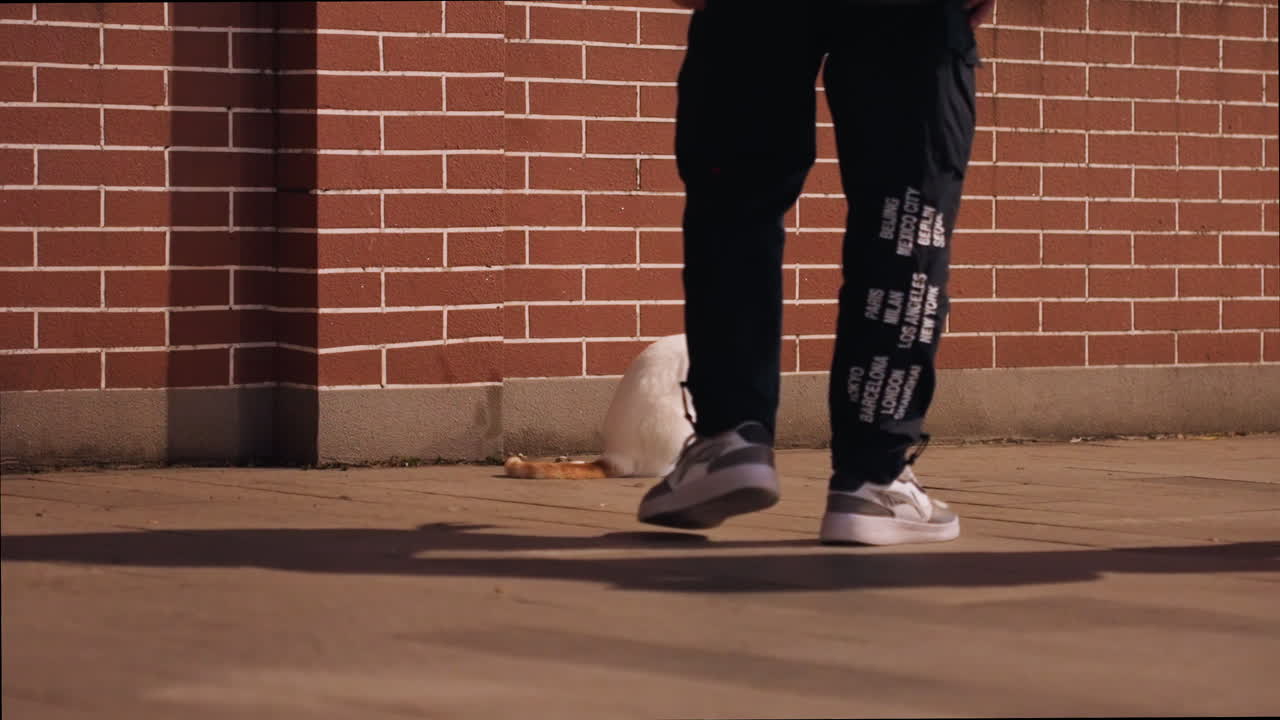 Gatto bianco sul marciapiede vicino a un muro di mattoni, due gambe di pedoni con sneaker e pantaloni larghi passano, la calda luce del sole proietta lunghe ombre, incontro in un quartiere tranquillo con sottile curiosità e atmosfera calma.