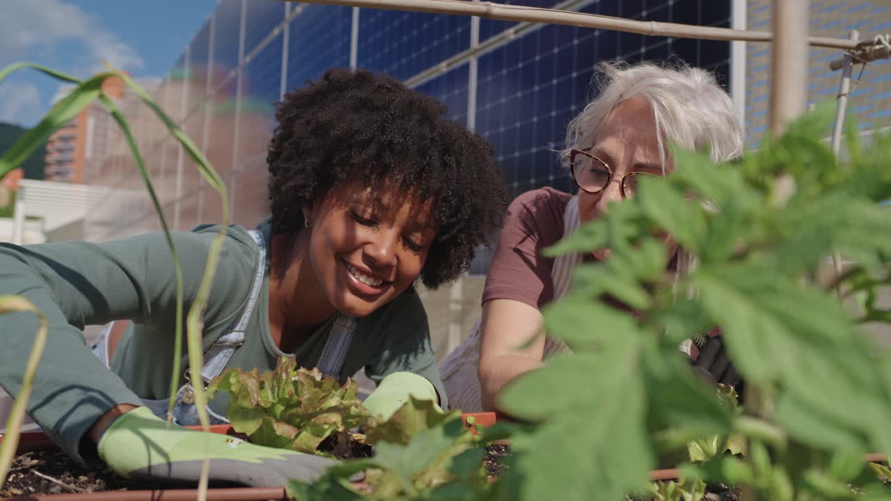 Women gardening in an urban rooftop garden