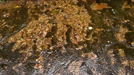 water flowing over gravel in a stream