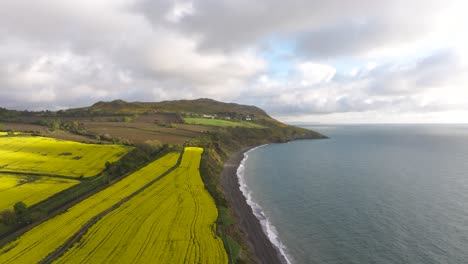 impresionante amanecer sobre el campo violado en greystones07 - 4k imágenes cinematográficas de drones - wicklow - irlanda