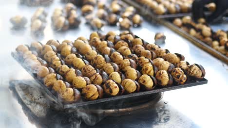 roasted chestnuts on a tray