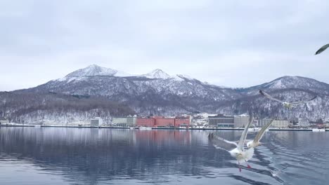 Boat-trip-on-the-Lake-in-Hokkaido,-people-feeding-the-seagulls