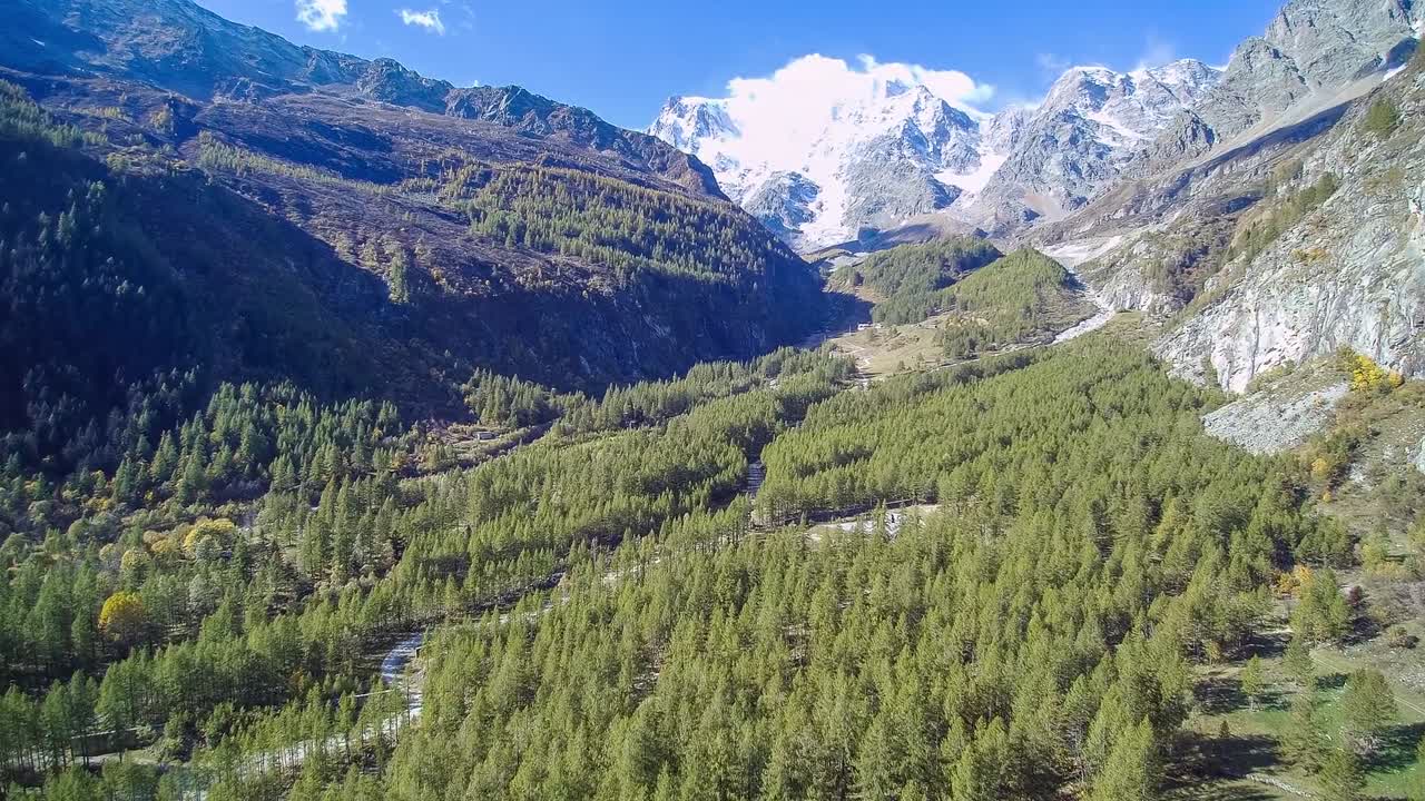 Aerial drone footage of alpine valley with dense conifer forest and snow capped mountains in Gran Paradiso National Park Aosta Valley Italy showing natural beauty and clear blue sky