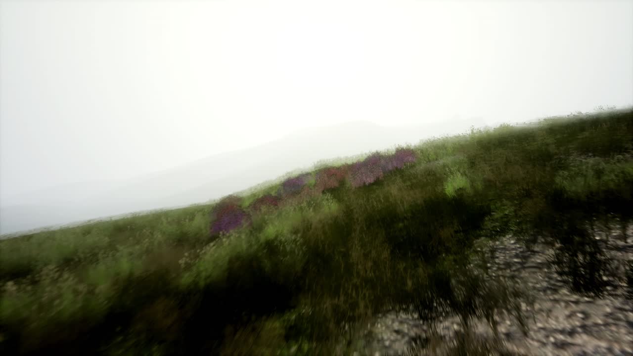 paisaje aéreo de colinas verdes en la niebla