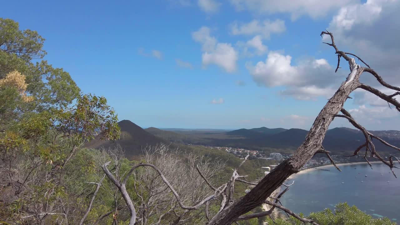 Stunning Coastal View with Dead Tree in Foreground