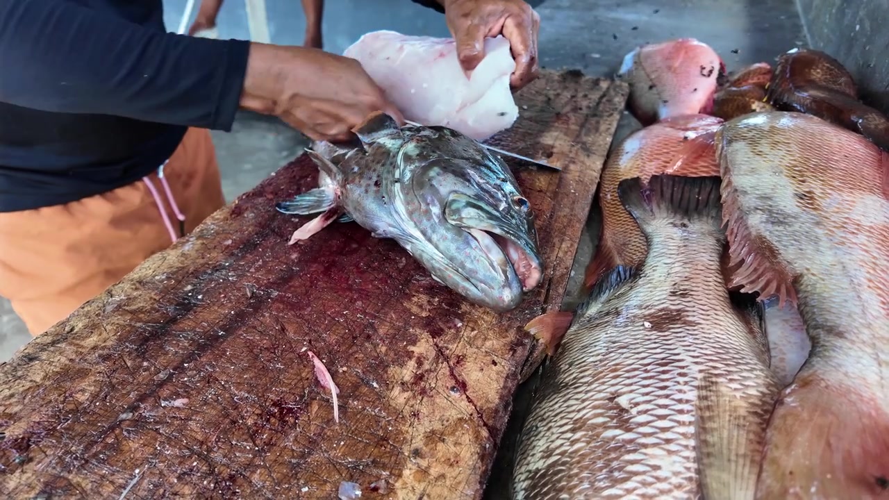 Skickliga fiskarhänder som skär och förbereder en nyfångad havsabborre på en rustik skärbräda i trä, omgiven av färsk fisk och skaldjur. Autentisk fiskmarknadsscen, hantverksmässiga fisketraditioner.