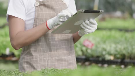 close up of woman's hands checking organic farm