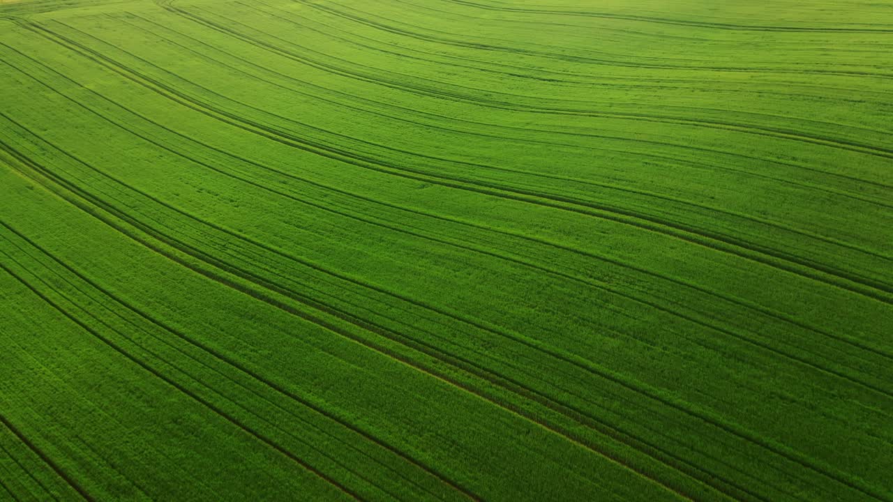 una antena del amplio campo de plantación verde durante un día soleado
