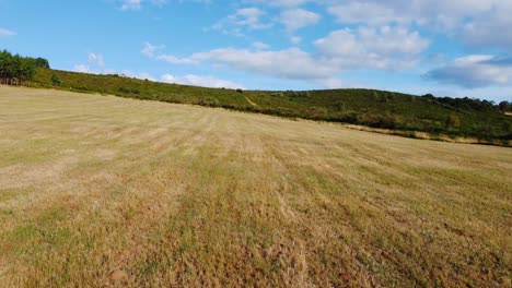 close to ground, straw, monte picato aerial, agroforestry landscape, lugo, galicia, spain 4k dji mini 2