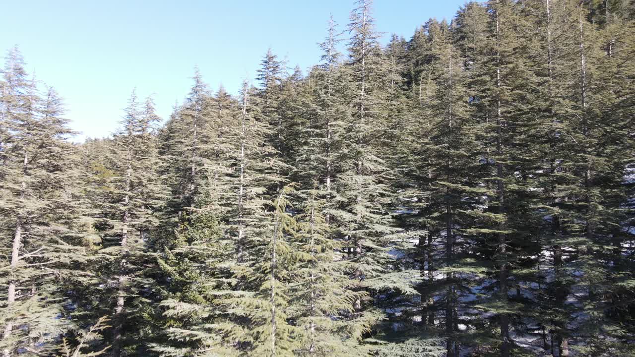 冷凍環境 無人機視覺