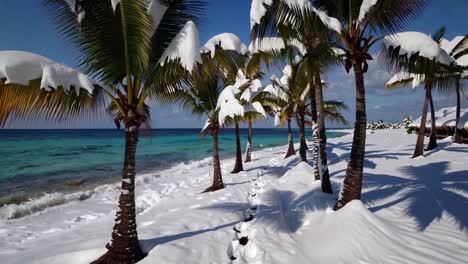 snow covers a tropical beach with palm trees and turquoise water, offering a unique and surreal contrast between typically hot and cold environments