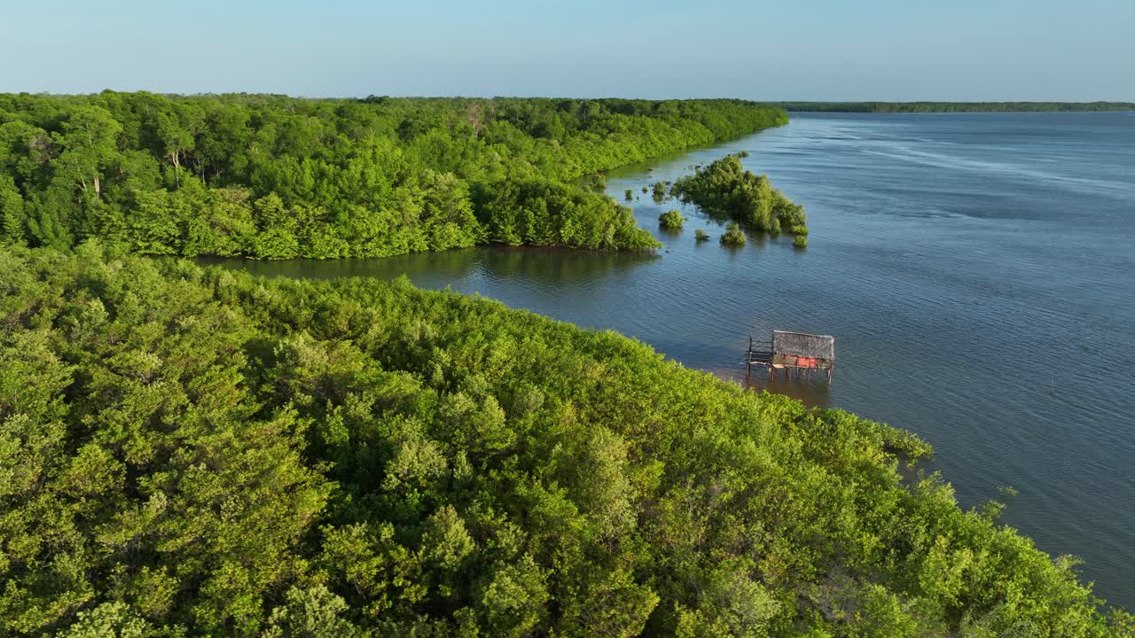 Dense Nature With Hut Isolated Along The Parnaíba River Delta In Northeastern Brazil. Aerial Drone Shot