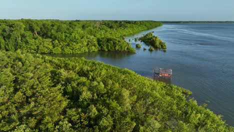 dense nature with hut isolated along the parnaíba river delta in northeastern brazil. aerial drone shot