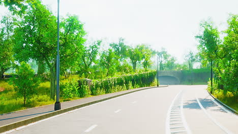 view of empty road with lamp post and sunlight