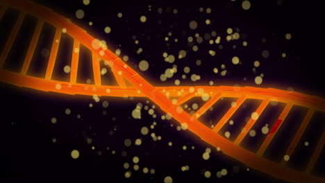 animación de cadenas de adn girando y brillando manchas de luz sobre un fondo negro