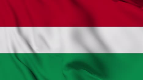 la bandera húngara se mueve sin problemas animación