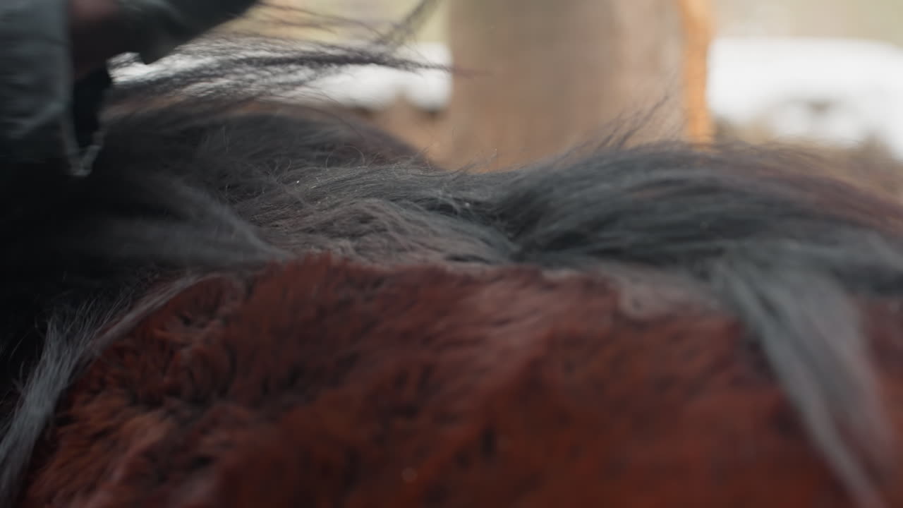 creando cinco variaciones de texto ahora, produciendo cinco opciones de fraseo únicas basadas en el texto proporcionado, desarrollando cinco oraciones alternativas diferentes que mantienen el significado original con precisión